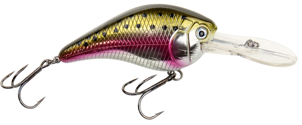 Rainbow Trout
