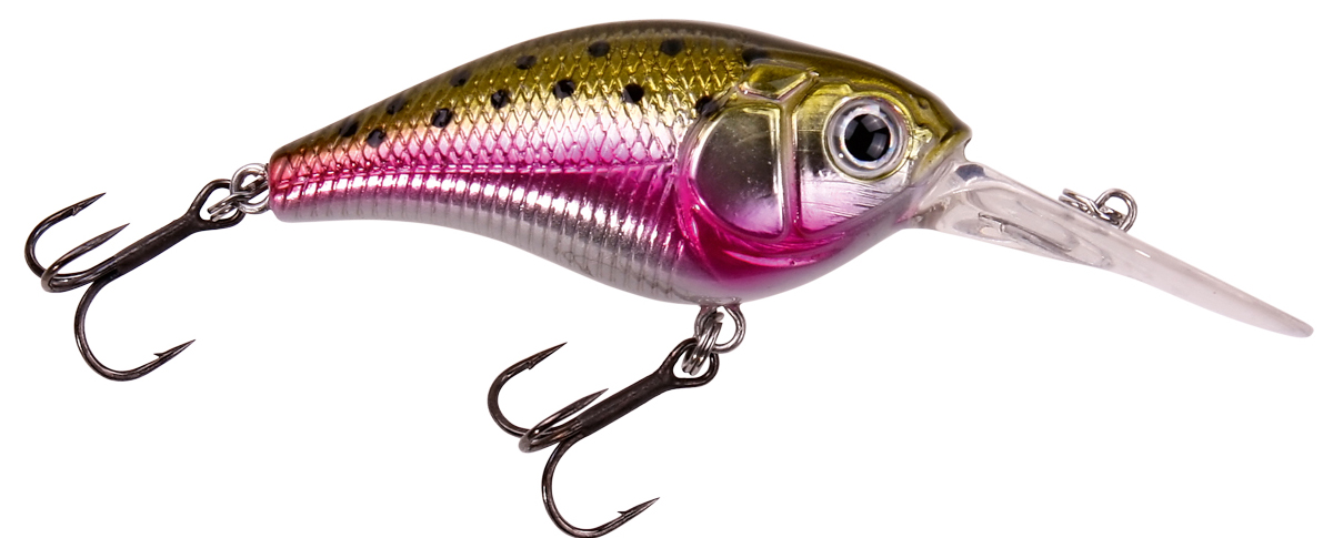 Rainbow Trout