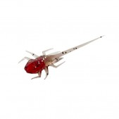 BA-CB	13 Fishing B.A.M.F Panfish Plastics Cherry Bomb 6-p