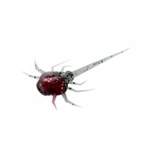 CC-CB	13 Fishing Coconut Crab Panfish Plastics Cherry Bomb 6-p