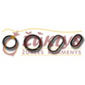 Mad Rig Rings Rinkinys Mad Rig Rings Rinkinys