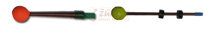 Spiruoklinis sargelis Stintinis Spiruoklinis sargelis Stintinis
