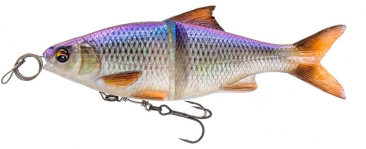 Blue Roach