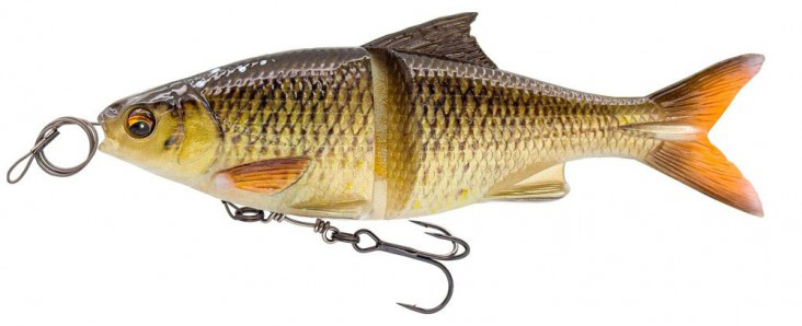 Horny Bream