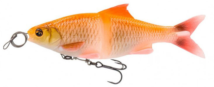 Albino Roach