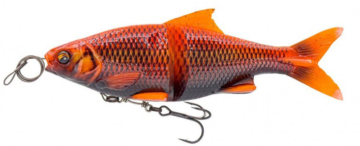 Blck Orng Koi
