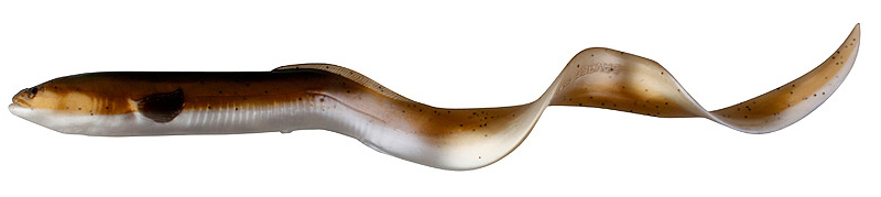 Olive Pearl