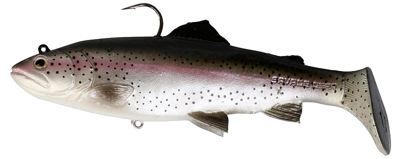 Rainbow Trout