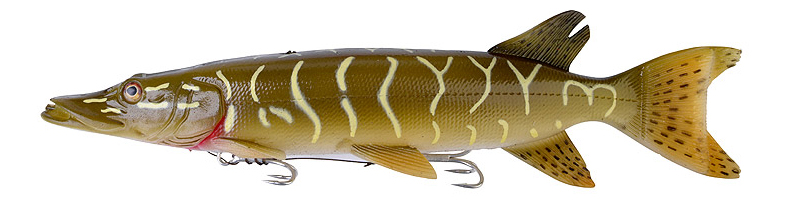 Pike