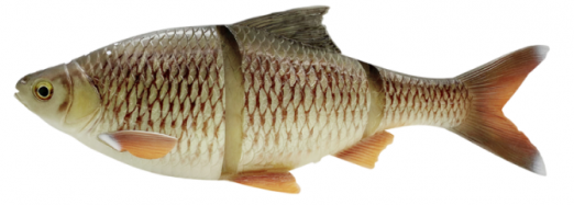 BREAM