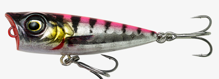 Pink Barracuda Php