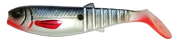Stamped Roach