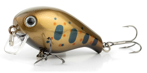 Copper Amago