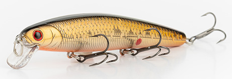 Copper Gold Shiner