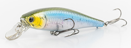 MS Japan Shad