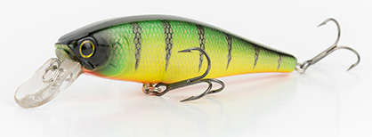 Gold Skin Perch