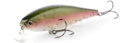 Ghost Rainbow Trout