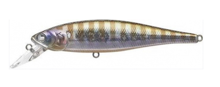 Blue Gill