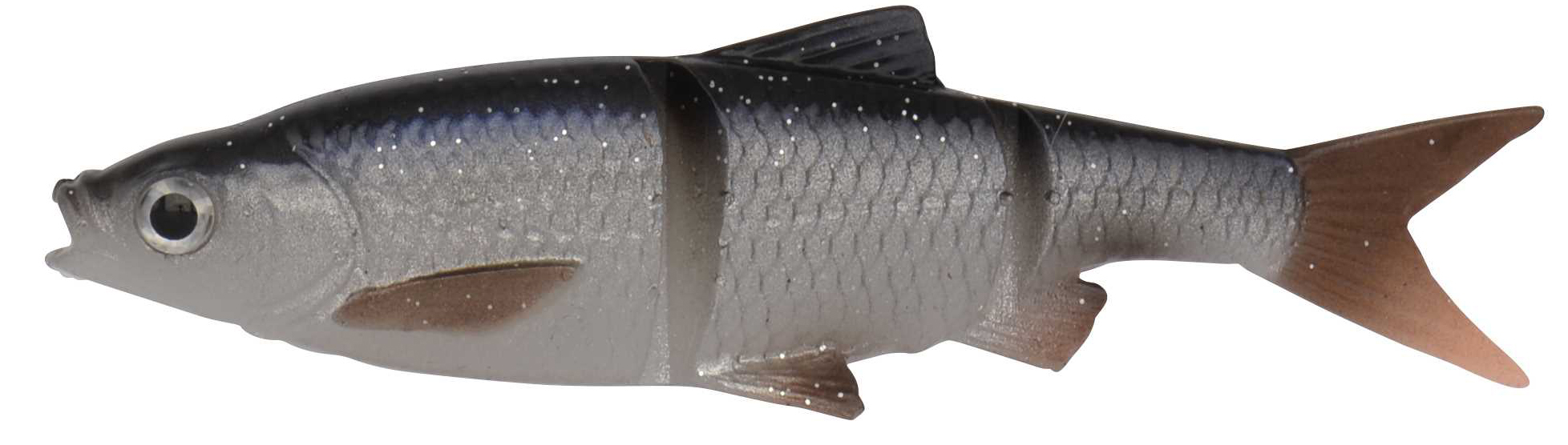 Roach