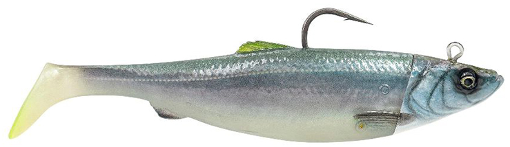 Coalfish