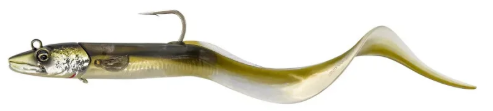 Conger