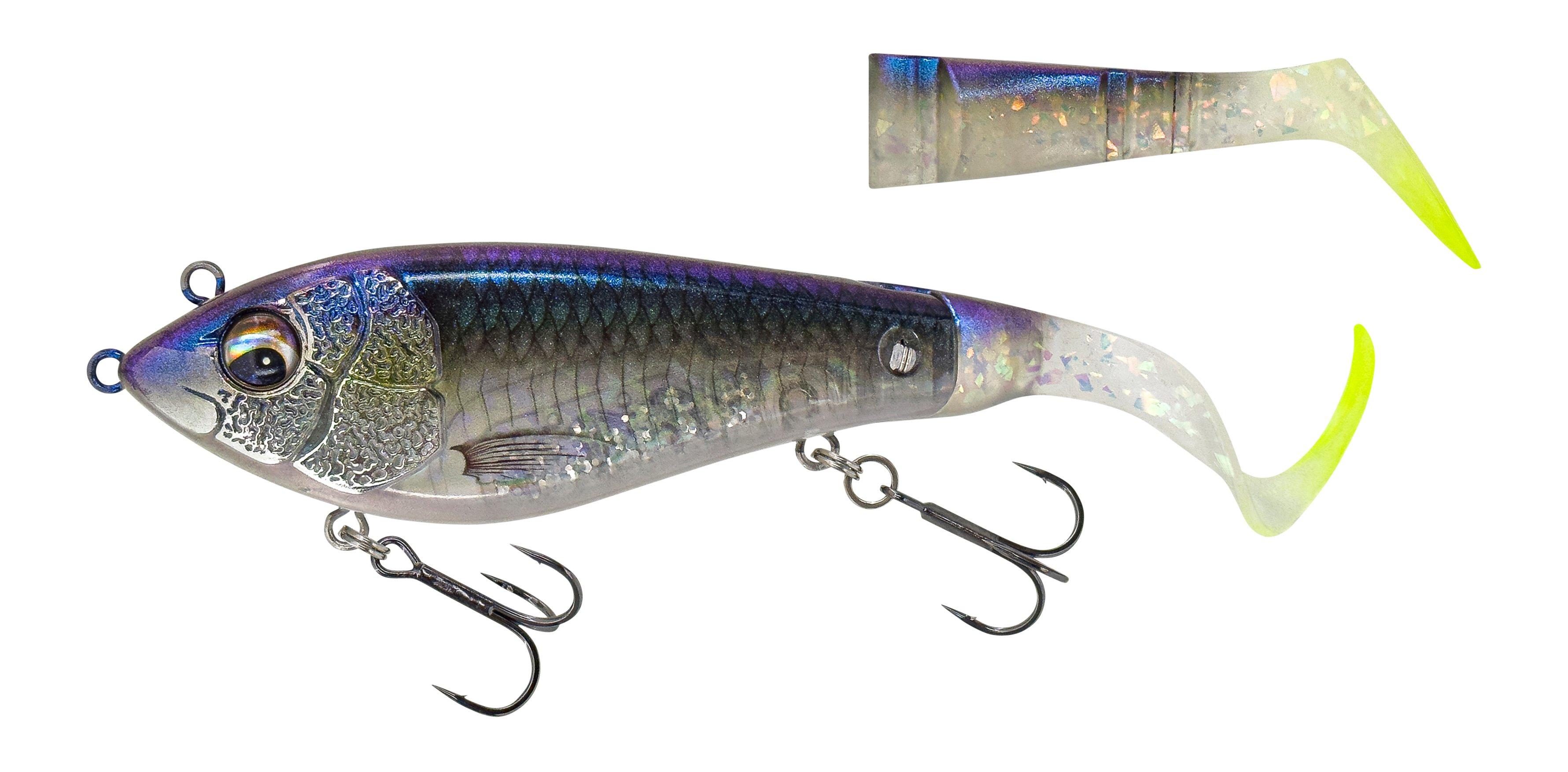 Cl Herring