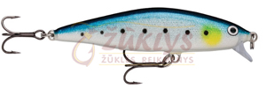(BSRD) Blue Sardine