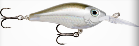 (FANC) Flake Anchovy