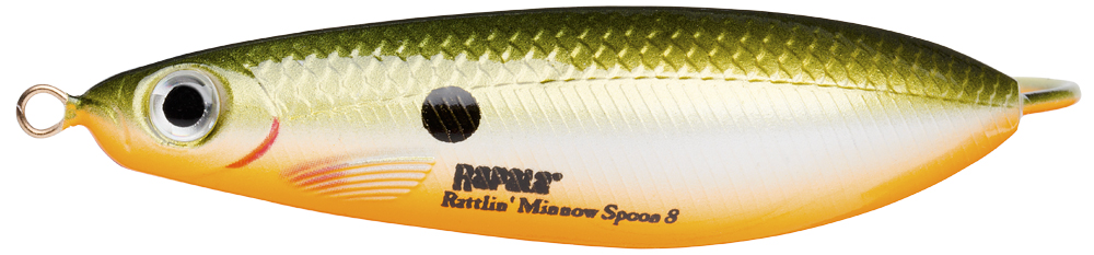(RFSH) Redfin Shiner