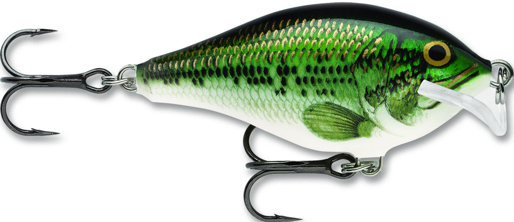 (BB) Baby Bass