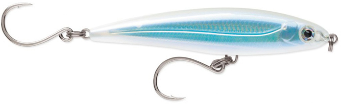 (AS) Albino Shiner